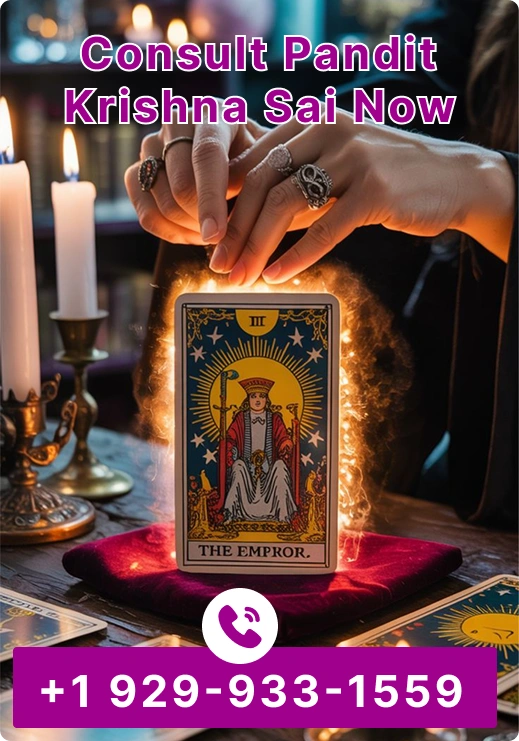 Consult Pandit Krishna Now