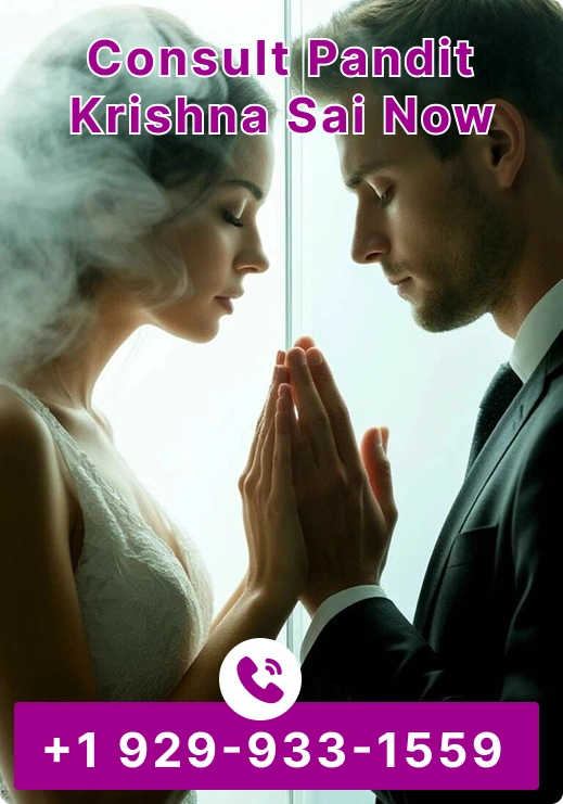 Consult Pandit Krishna Sai Now