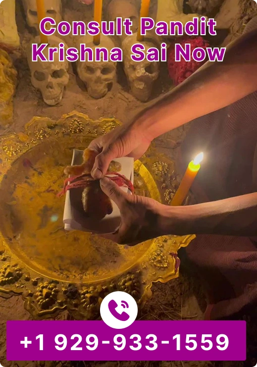 Consult Pandit Krishna Sai