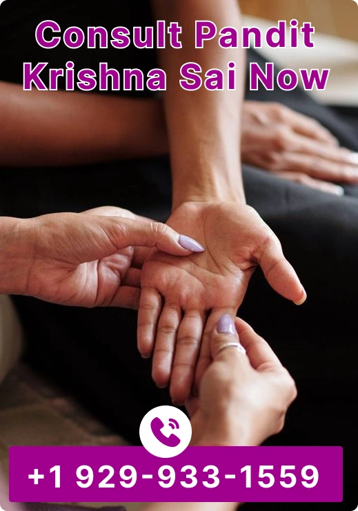 Consult Pandit Krishna Sai Now
